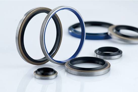 Hydraulic Seals Hydraulic Seals